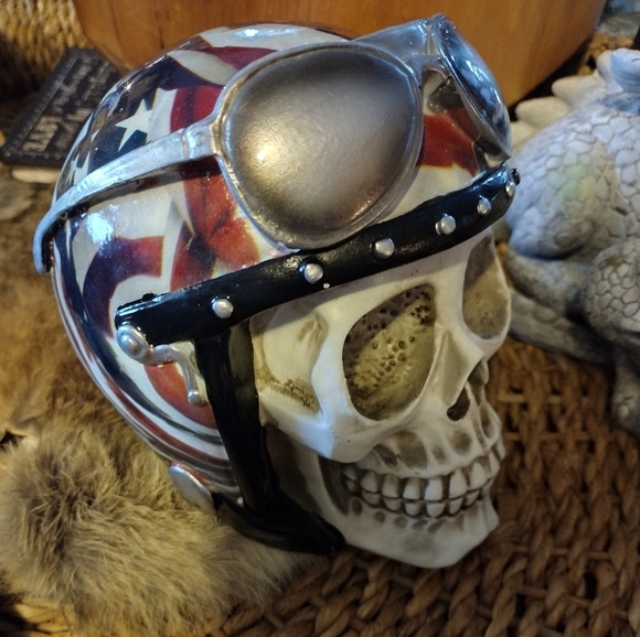 Bike skull - Picture 2 of 2
